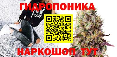 СК Вязники