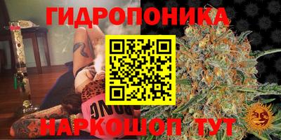 СК Вязники
